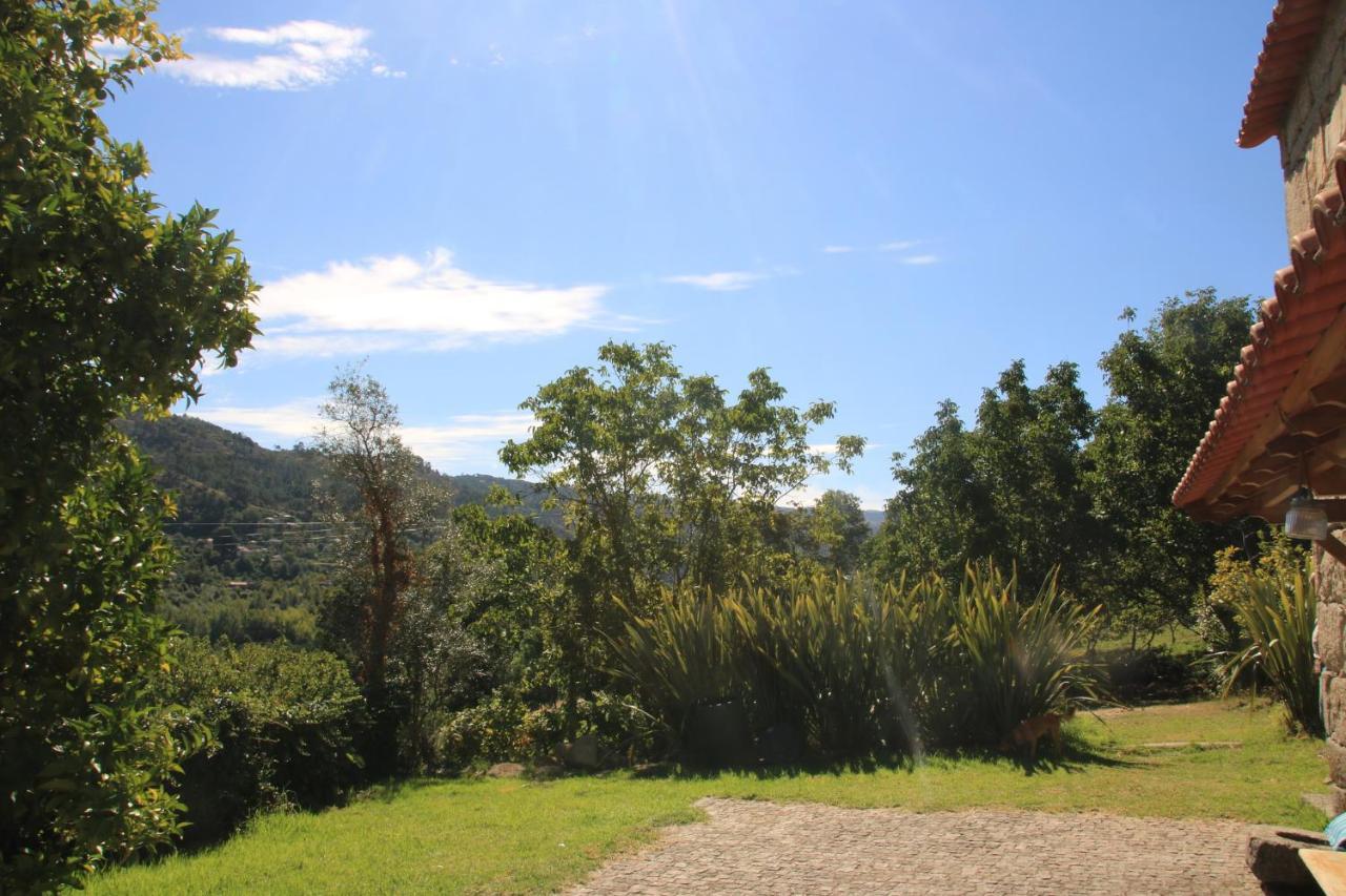 Douro Senses - Nature House Cinfães Exterior foto