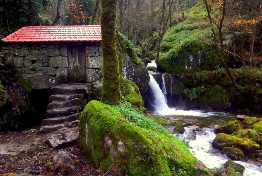 Douro Senses - Nature House Cinfães Exterior foto