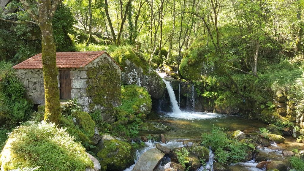 Douro Senses - Nature House Cinfães Exterior foto